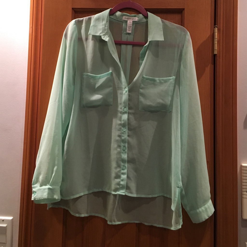 Mint Sheer Button Down Blouse